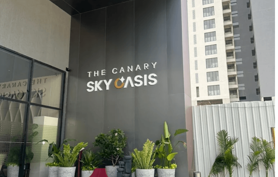 The Canary Sky Oasis